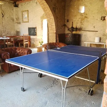 Podere Calcinaia * Castelnuovo Berardenga
