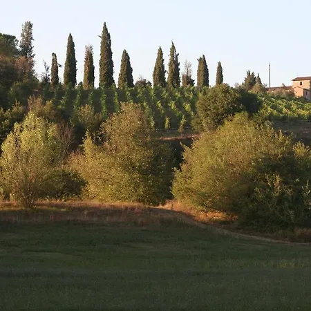 Podere Calcinaia Летний дом Кастельнуово-Берарденга